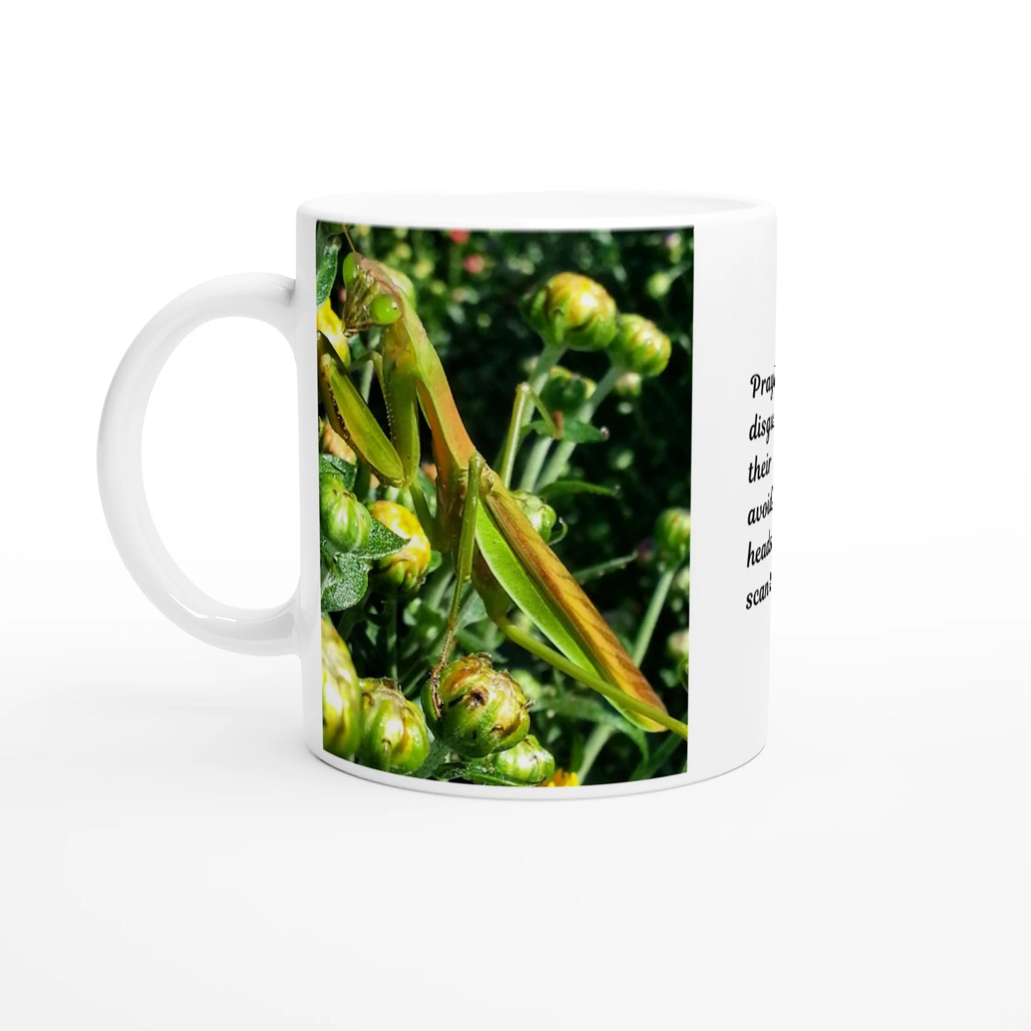 0948bebc-c193-49bd-b887-9367a7a36385