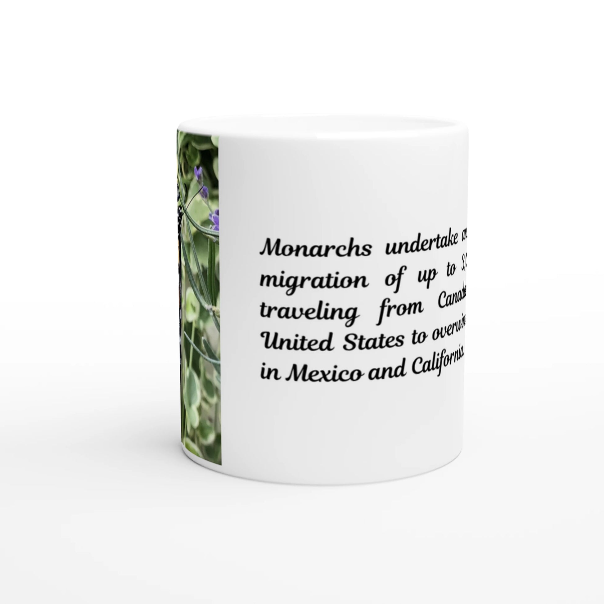 0fecdf16-74cc-4c6f-aa6e-1489eb8e2e28