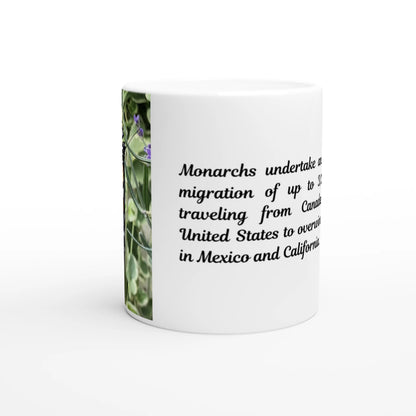 0fecdf16-74cc-4c6f-aa6e-1489eb8e2e28