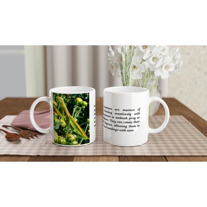 190a4b43-c139-46a0-9a57-c40182400b35