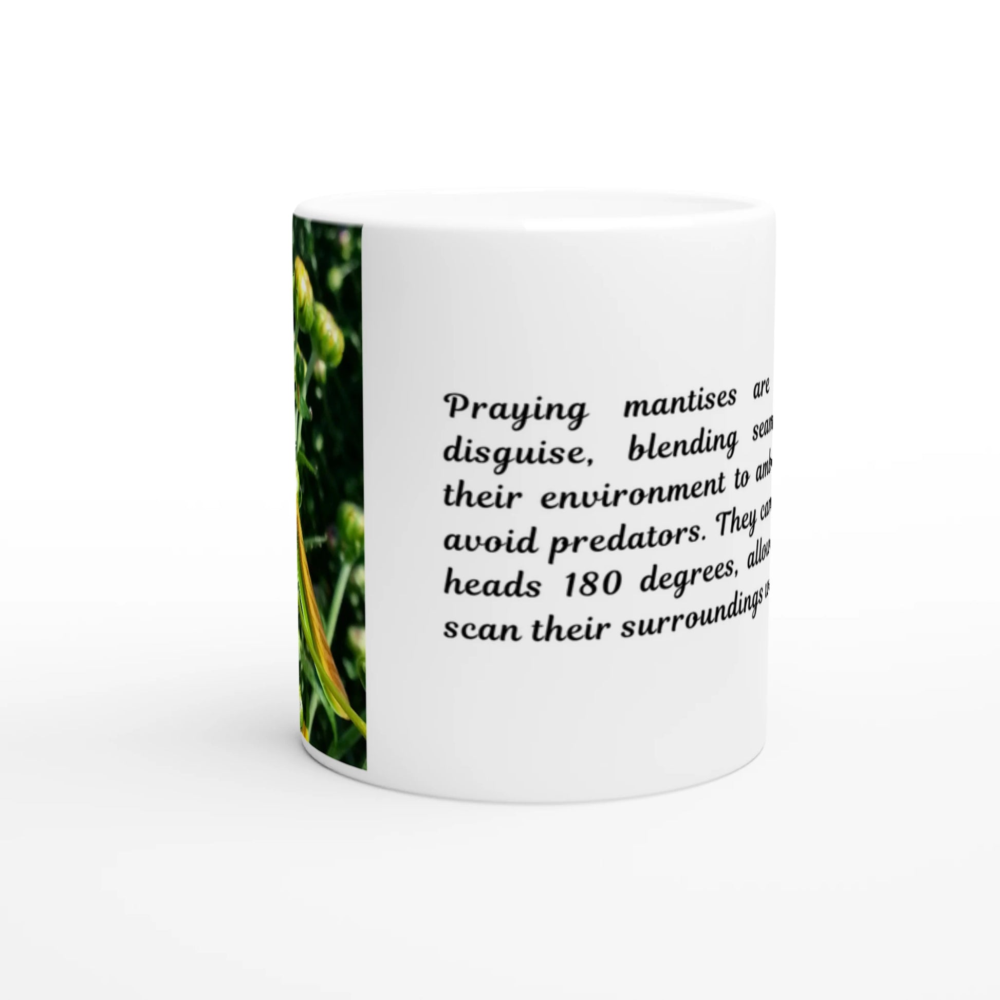 611e08dc-6884-42b7-8853-e1c7ccacc790