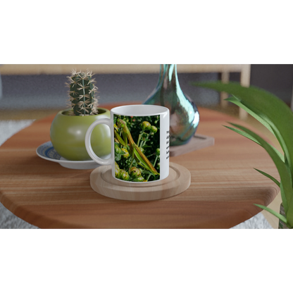 634485f2-fa35-45ad-a185-186d52c19375