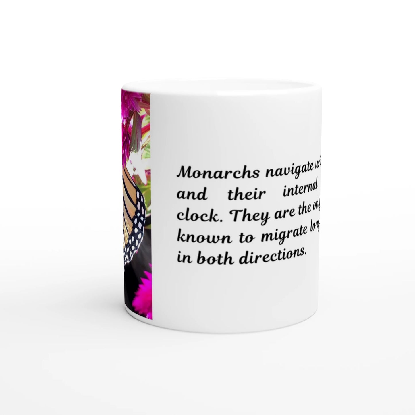 9086da11-7a00-42d4-82ab-b7478eba6955