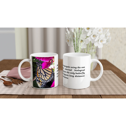 d6a1e57e-8408-4f21-be6a-f838ee531aed